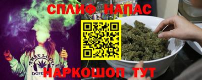 молекула духа Ярославль