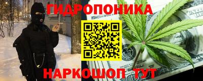 амф Анапа