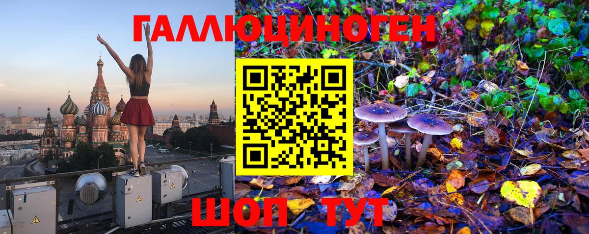 Бахчисарай  Галлюциногенные грибы MAGIC MUSHROOMS  Вход с VPN 